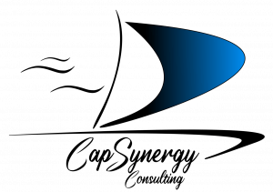 CapSynergy-Consulting logo
